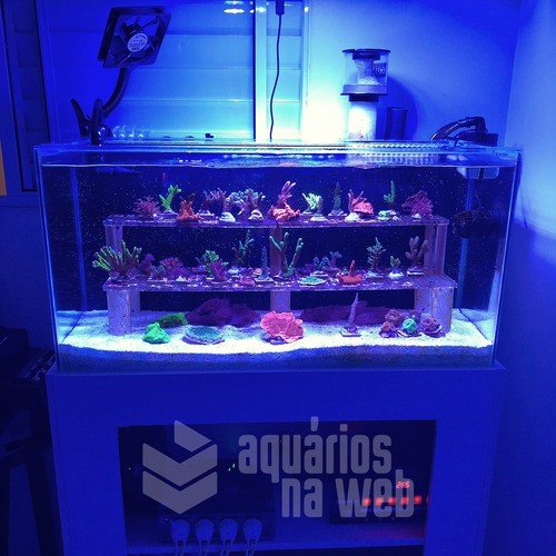 Imagem 2 de 5 de Aquário Com Sump Traseiro 160 Litros 80x50x40 Vidro 6mm