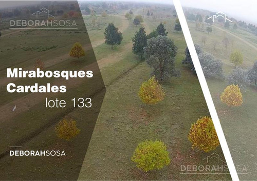 Excelente Lote Nro 133: Mirabosques Cardales Etapa 1 -  La Reserva Cardales.