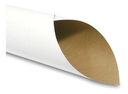 Cartulina Caple 20 Pts 1 Cara 90x125 Cm 10 Pliegos Rollo