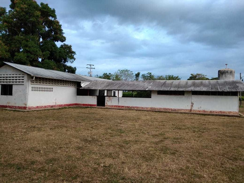 Imagen 3 de 24 de Hato En Venta En Santa Bárbara De Barinas
