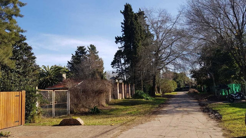 Imagen 8 de 8 de Lote Terreno En Barrio Abierto El Descanso, La Lonja Pilar