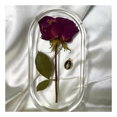 Sílica Redry 1kg Secagem Profissional De Flores
