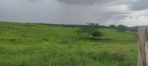 En Venta Finca En Aragua De Barcelona Estado Anzoategui