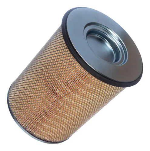 Filtro De Ar Ref. Af25631 / Lx1587 / E496l01 / E496l | Frete grátis