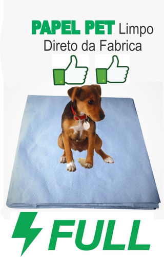 Jornal Pet Para Cachorro 60 X 60cm 300 Un Reciclado +brinde 