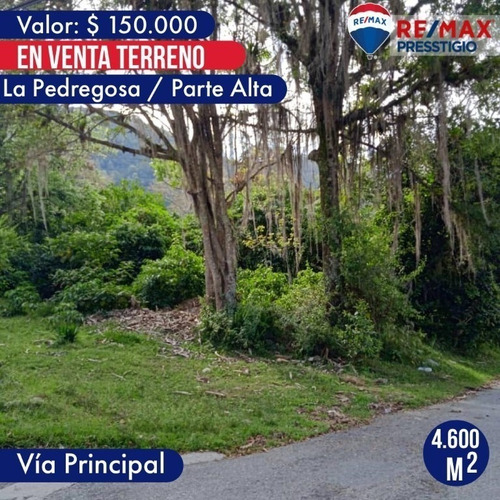 Imagen 1 de 8 de En Venta Amplio Terreno En El Sector La Pedregosa, Mérida Municipio Libertador