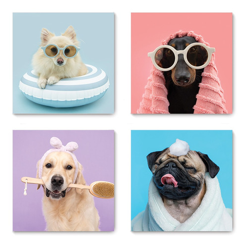 Kit 4 Quadros Decorativos Pet Shop Cachorro Gato Placas 0010