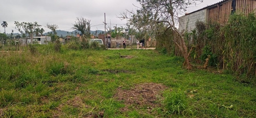 Imagem 6 de 6 de Terreno