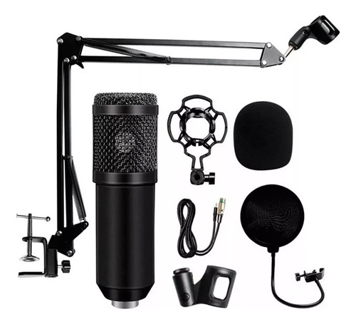 Kit Microfono Condensador Bm 800a Brazo Soporte Antipop Pc