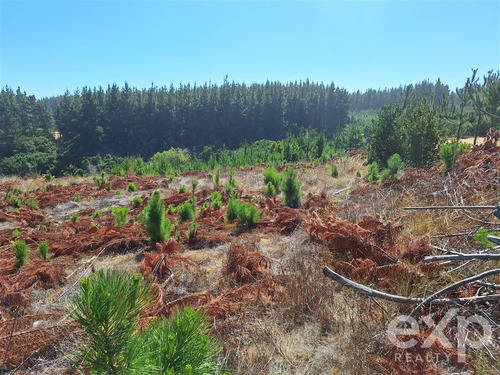 Sitio L37 Vista Amplia En Venta En Pichilemu