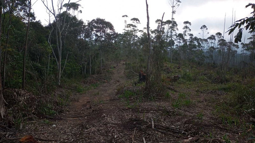 Imagem 8 de 14 de 01- Terrenos Com Agua E Luz Em Mogi Das Cruzes !