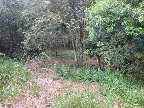 Imagem 9 de 9 de Condominio Terreno Ibiuna A 300 Mts Da Represa, Escritura Ok