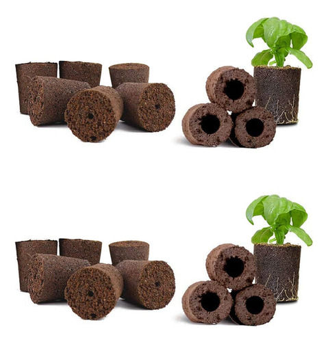 2x Plant Growing Sponges For Garden, Indoor Garden
