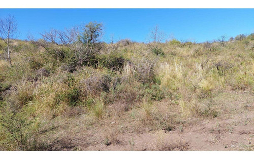 Imagen 3 de 7 de Fracción De 4.13 Ha En Falda Del Carmen. Lote N° 5