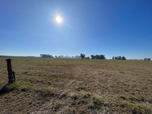 Imagen 3 de 7 de Venta - Fracción Ruta 47 - Luján