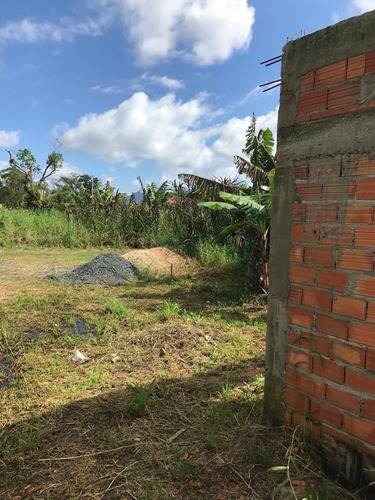 Imagem 12 de 19 de Terreno - Te00015 - 33826787