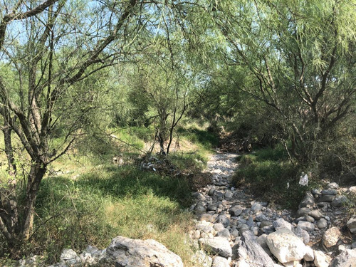 Terreno En Venta Usos Mixtos Juárez Nl