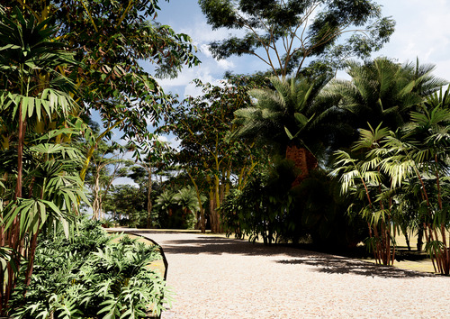 Terreno En Venta Con Financiamiento En Tulum En Medio De La Selva