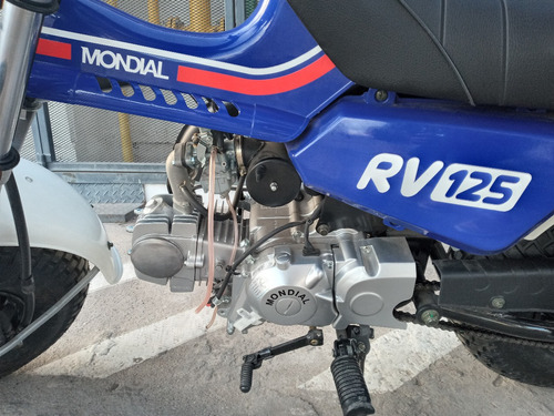Imagen 13 de 13 de Mondial Rv 125 Pantanera Arenera