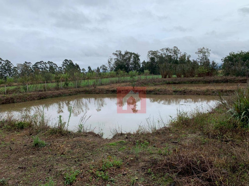 Imagem 9 de 17 de Chácara À Venda, 20000 M² Por R$ 256.000 - Industrial - Vera Cruz/rs - Ch0015