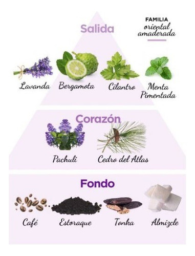 Violetta Cosméticos Colonia Deo Masculino Antology 120ml