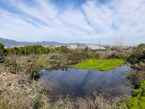 ¡venta De Parcela En El Boco, Quillota! (36476)