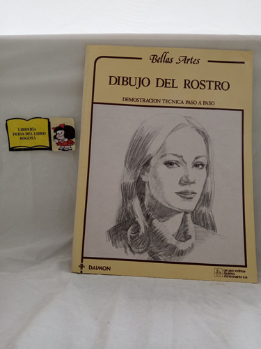 Dibujo Del Rostro - Bellas Artes - Daimon - Paso A Paso