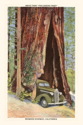 Libro The Vintage Journal Car Driving Through Redwood, Ca...