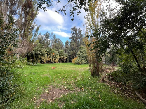 Casa Con Buen Terreno, Sector Comercial El Monte