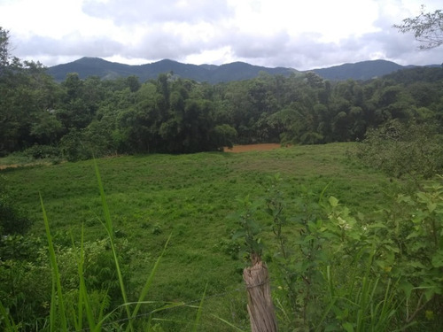 Imagem 26 de 30 de Fazenda - Fa00003 - 34856184
