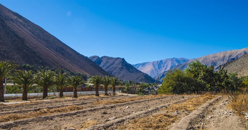 Parcela En Venta En Peralillo, Vicuña