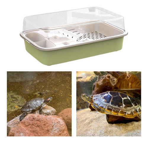 Accesorio Para Mascotas, Tanque De Tortuga, Acuario, Verde