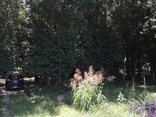 Imagen 12 de 13 de Cabaña De Madera En Amplio Lote Arbolado De 1.000 M2, Barrio Abadia