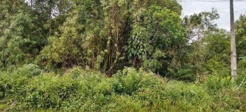 Imagem 5 de 12 de Ótimo Terreno No Jardim Marambá, Em Itanhaém 4196