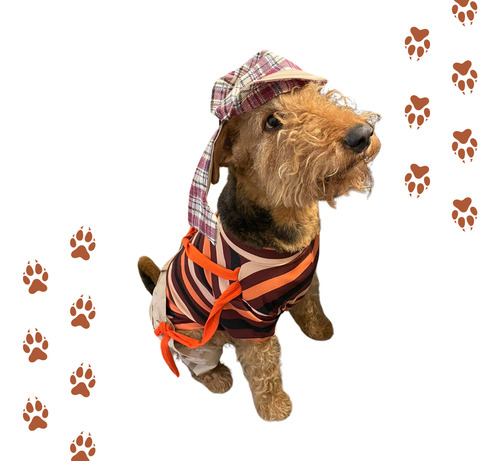 Disfraz Chavo Del 8 Para Mascotas | Ropa Para Perros Grandes