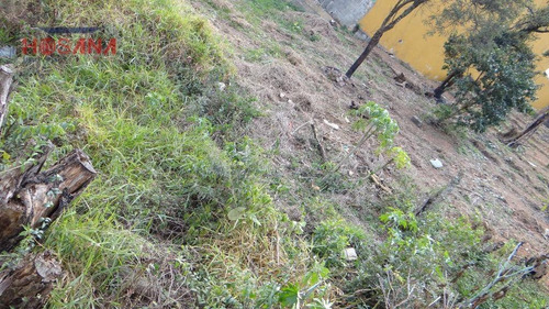 Imagem 6 de 7 de Terreno Residencial À Venda, Nova Caieiras, Caieiras. - Te0206