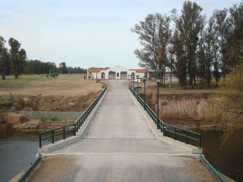 Imagen 6 de 16 de Venta Lote Terreno 3000 M2 Chacras Del Rincón - Timbues
