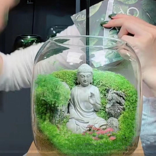 Terrario De Plantas De Vidrio Transparente Jarrón -