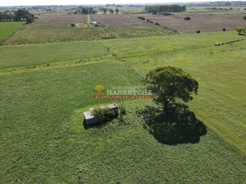 Chacra De 5.4 Has En Los Cerrillos, Construcción Precaria, Predio Alto Con Pradera Dueño Financia!