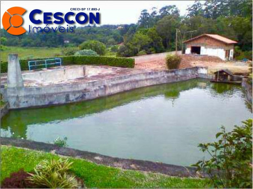 Imagem 20 de 26 de Chacara - Ch00012 - 31910680