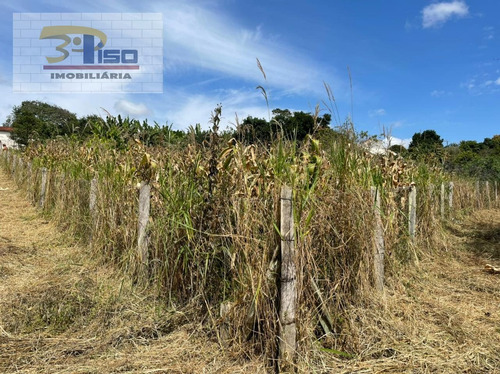 Imagem 6 de 9 de Terreno Em Loteamento Aberto Em Bairro Da Estrada Nova - Pinhalzinho - 1532