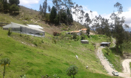 Granja Agroproductiva En Venta, Terreno, Casa De Campo