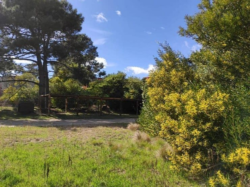 Imagen 2 de 5 de Lote Multifamiliar/hotelero De 1.134 M2 - Las Gaviotas | Cod. 0534 |