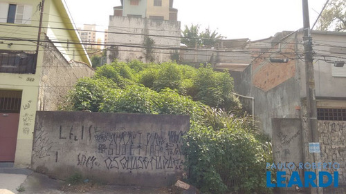 Imagem 5 de 6 de Terreno - Morumbi - Sp - 436429