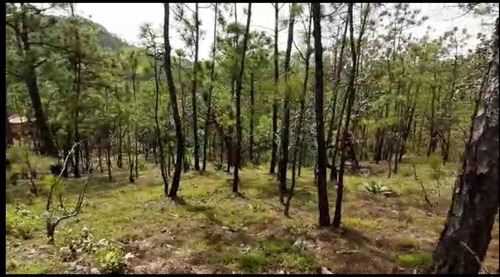 Imagen 2 de 2 de Terreno En Venta En Mascota