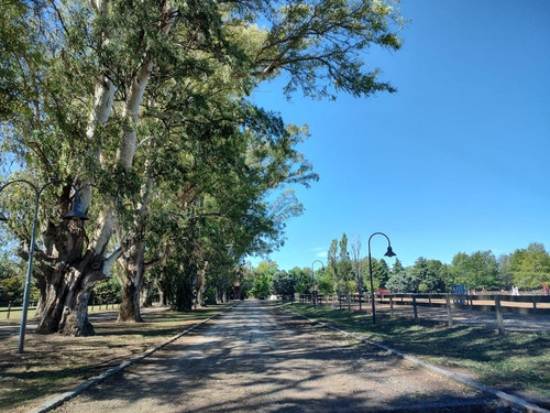 Terreno En El Campo Cardales