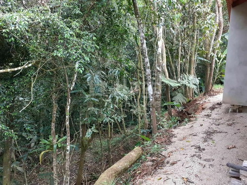 Imagem 15 de 19 de Chácara À Venda Em Canelinha/sc - 2170c
