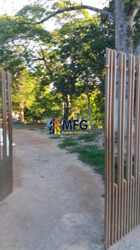 Imagem 3 de 13 de Chácara Em Piedade - 7135