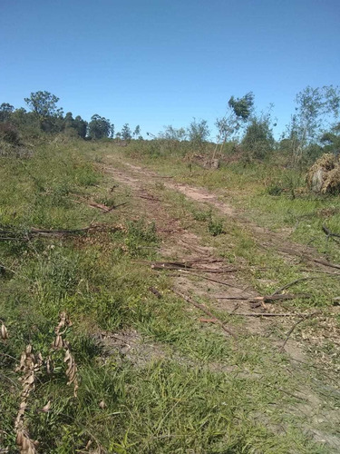 Campo Ganadero En Sauce Ctes