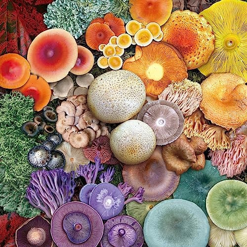 Rompecabezas De Hongos, Rompecabezas De 1000 Piezas Para Adu